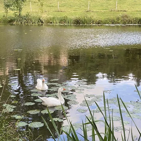 Roulotte Enchantee Dans Le Parc D'un Chateau Vendeen Holiday home