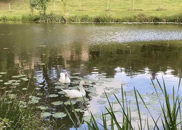 Roulotte Enchantée Dans Le Parc D'un Château Vendéen Casa vacanze